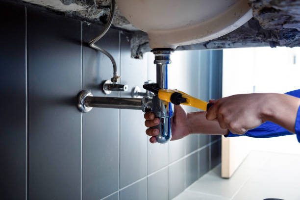 Best Plumbing System Maintenance  in Elmendorf, TX